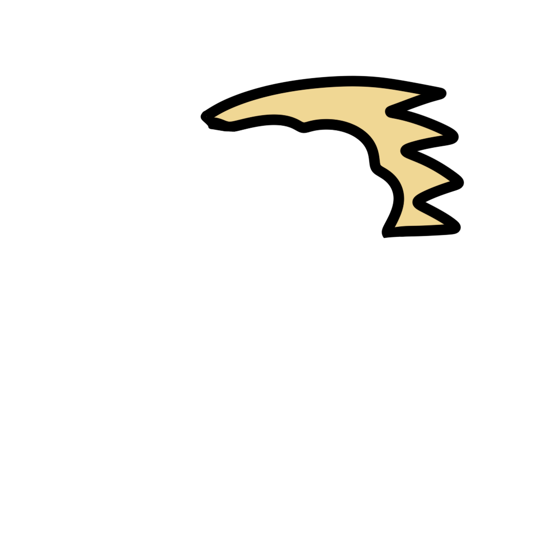 head 16